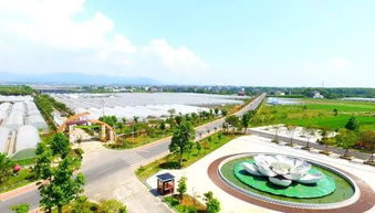 衢州迈入旅游发展新时代 以全域思维擘画未来蓝图